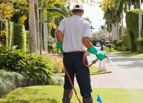 About Tunnel Hill GA Pest Control Pros